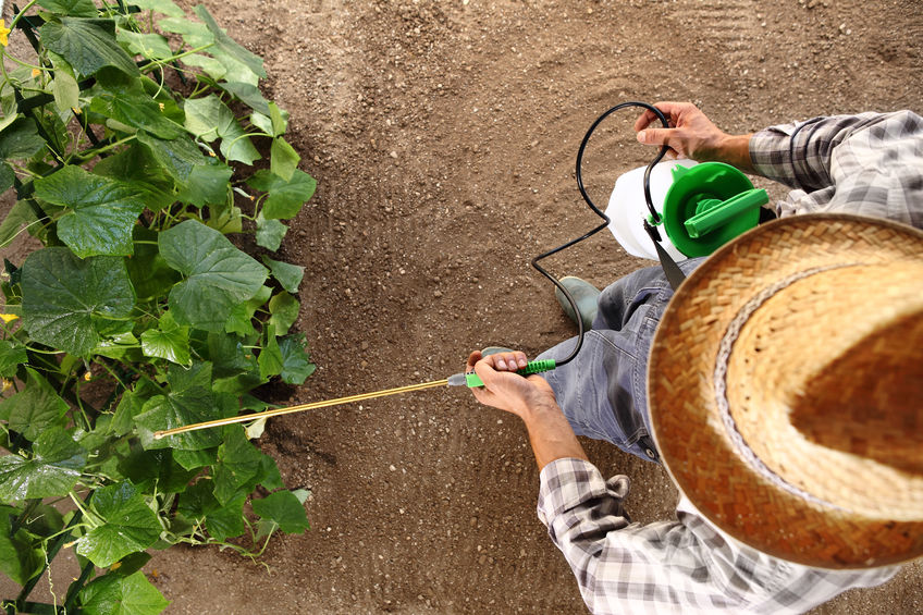 “Lets be realistic, Roundup is probably used by just about every Australian”