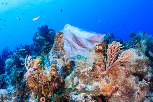 How do we tackle ocean plastic pollution?