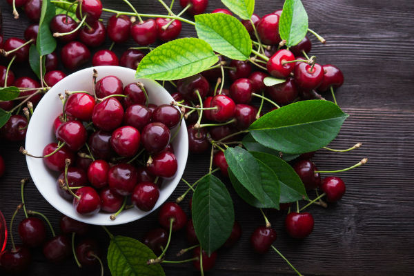 Cherries ripe early this year