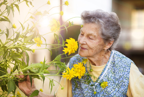 Shopping and delivery help is here for disable and older Australians