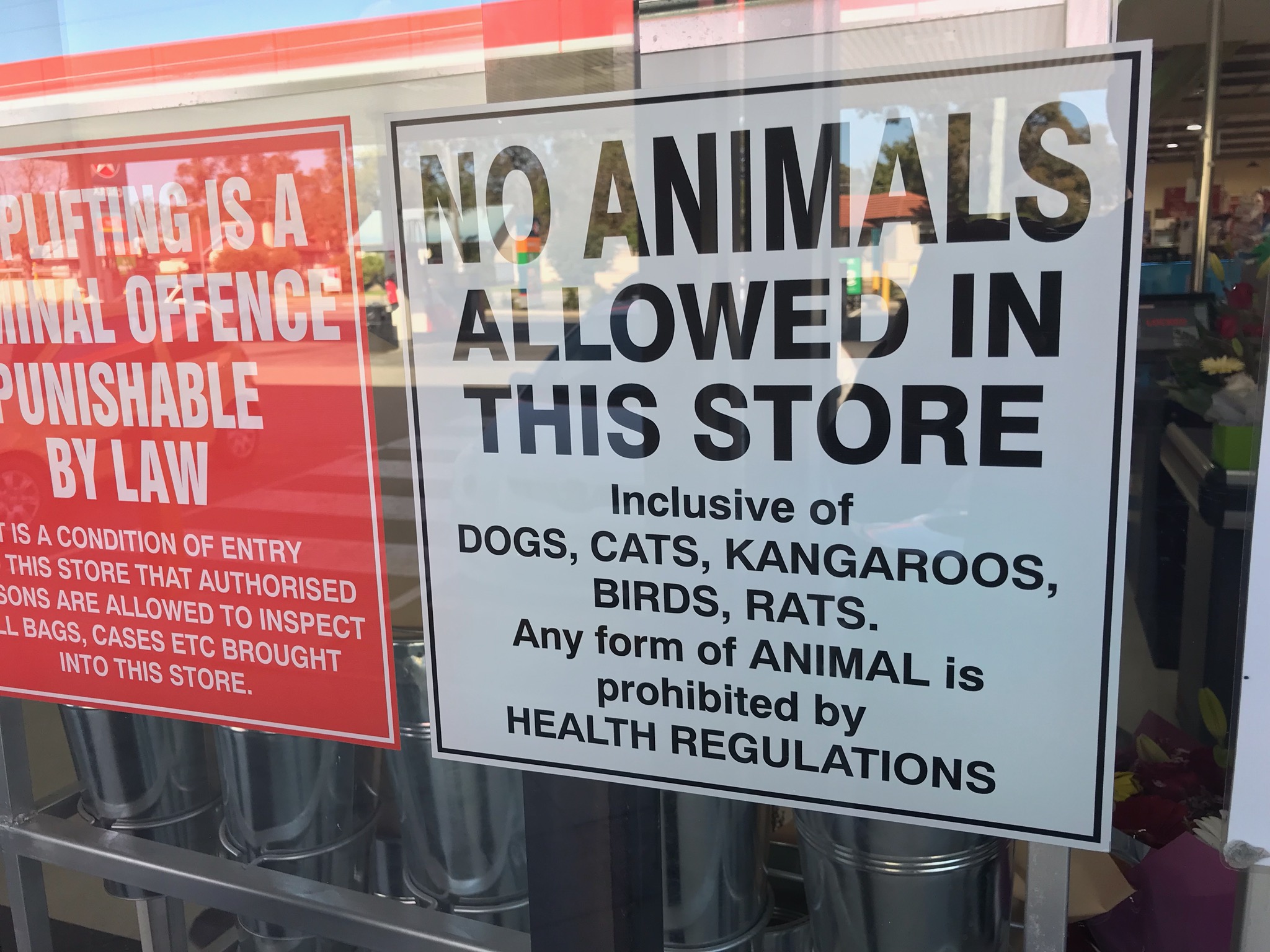 IGA Store’s  sign  bans animals and for good reason.