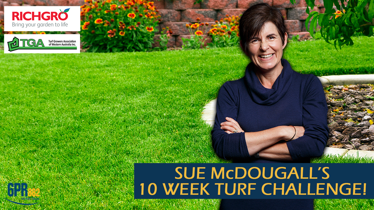 The Gardening Show Sue McDougall