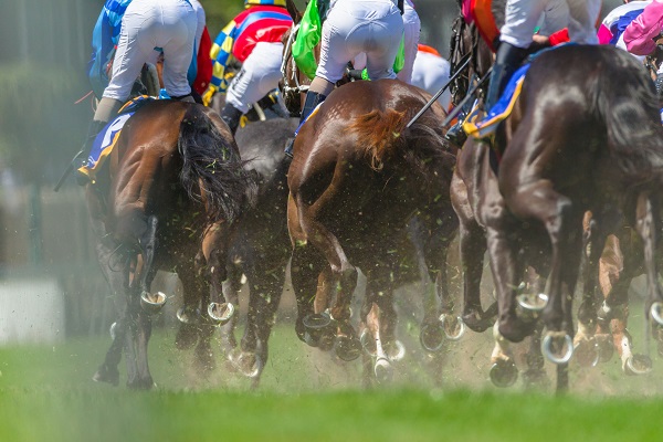 Michelle Payne wants more female jockeys at the Cup