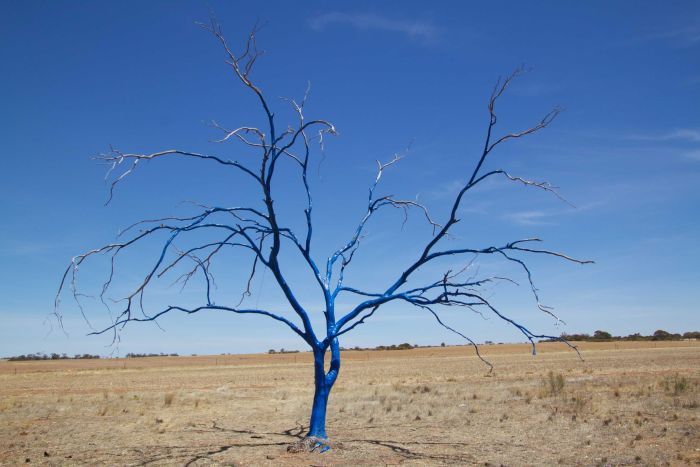 The battle for blue