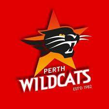 Can our Perth Wildcats break the NZ Breakers?
