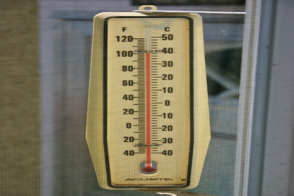 The mercury hit 40.4 degrees in Perth today!
