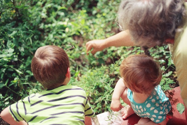 How are the roles of grandparents changing?
