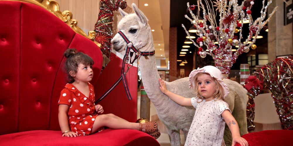 Want your pets to be photographed with Santa with year?