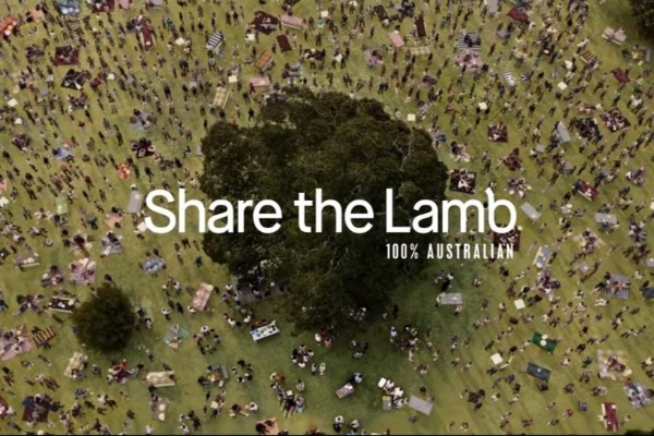 What’s going on with the new lamb ad?