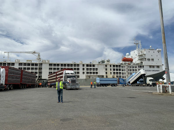 Millsy’s tour of a live export vessel