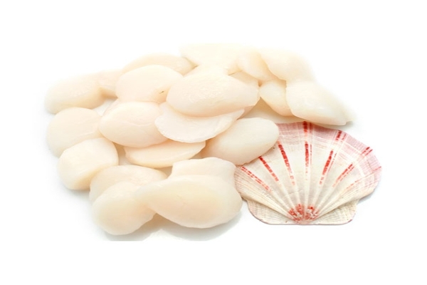 Scallop supply chains and ‘No Menu’ innovations