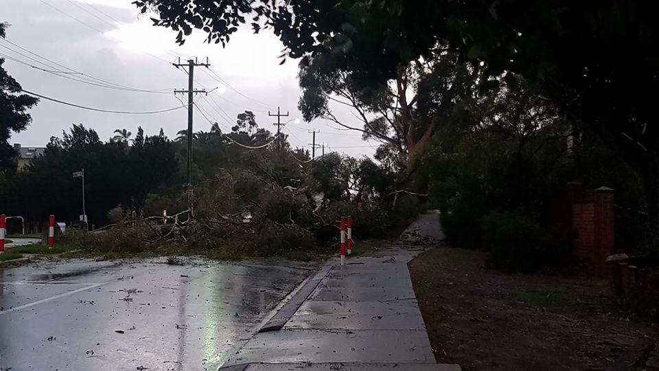 Fallen trees and leaking roofs cause issues for DFES