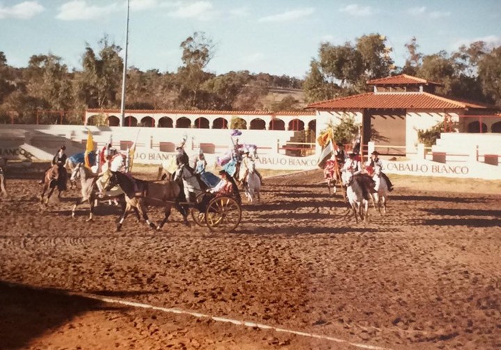 El Caballo Sold 6pr