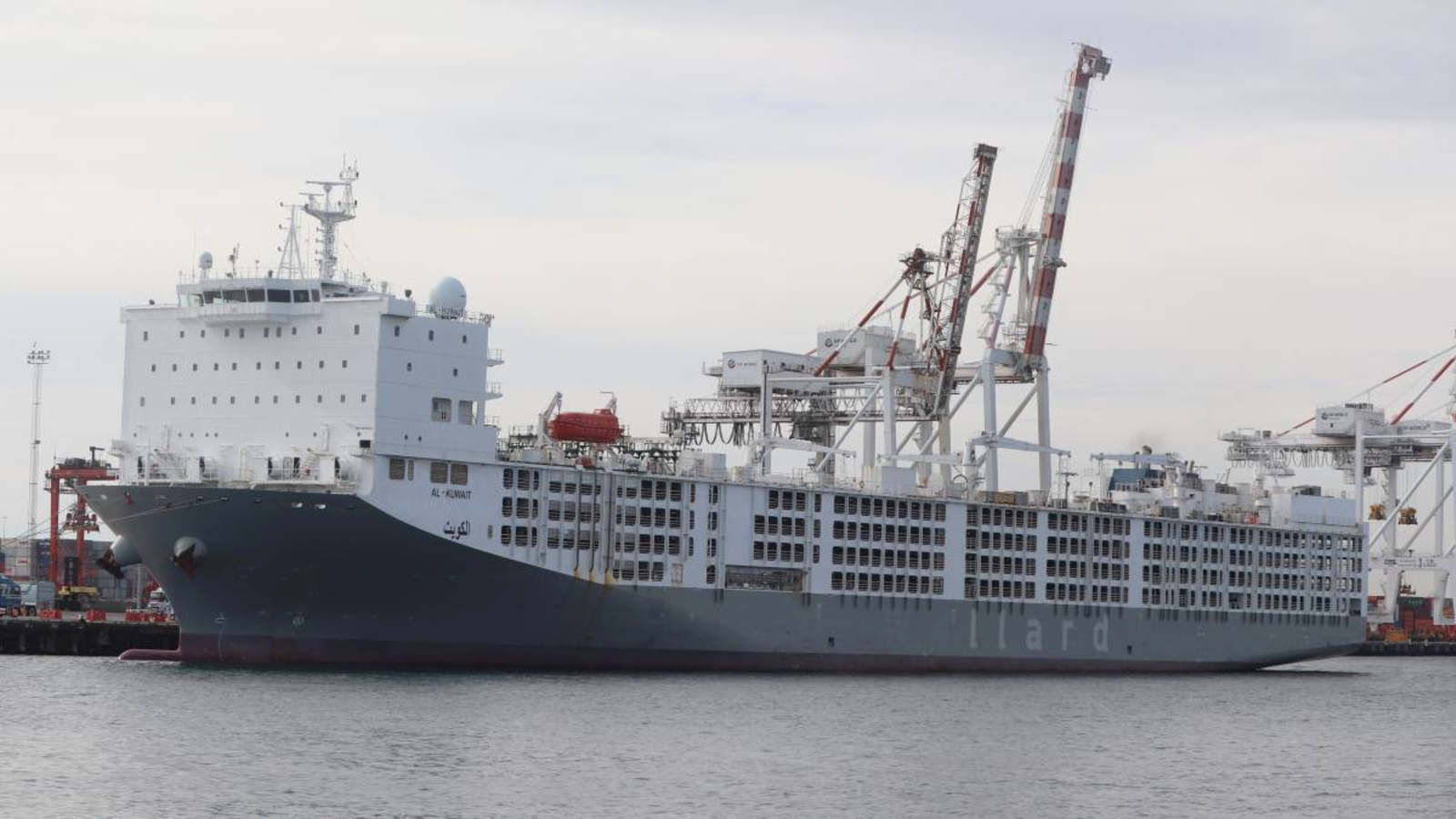 Article image for Farmers frustration grows as government turns back ship