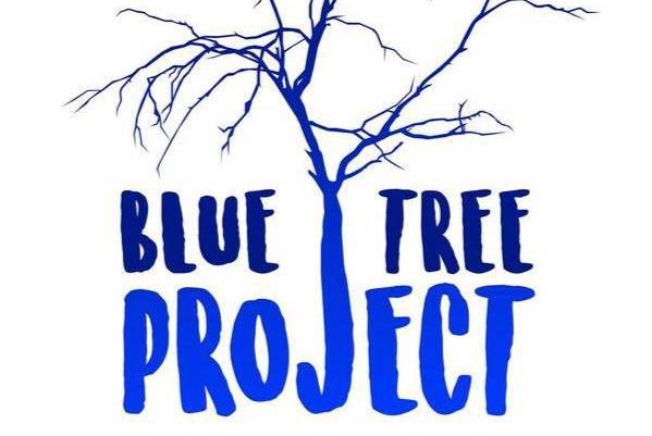Latest on the Blue Tree Project with Kendall Whyte