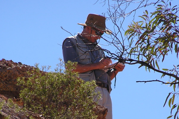 Article image for Cazaly Resources – a copper project with 64m long mineralised holes going over 2.7 per cent copper