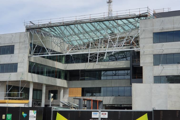 2020 The Avalanches: Live From The Curtin House Rooftop