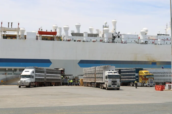 Sheep ship being loaded in Fremantle