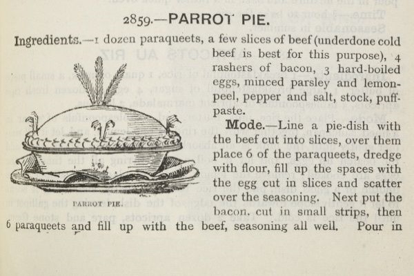 Fancy some parrot pie?