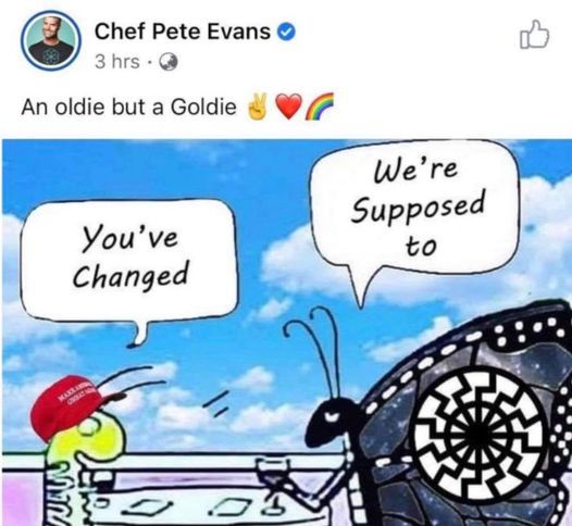 What’s the worst part of Pete Evans’ latest gaffe?