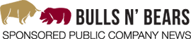 Bulls n Bears logo