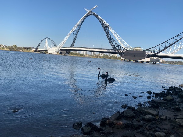 Article image for The sound phenomenon at Matagarup Bridge