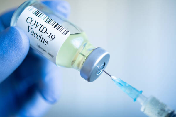 Article image for Infectious diseases expert urges states not to send vaccines to NSW