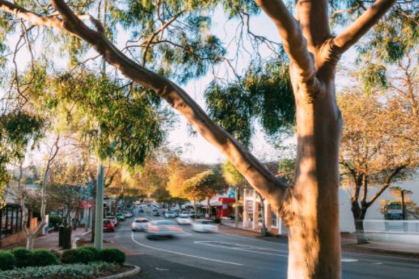 After almost a years’ hiatus, Margaret River’s Main Street is open for buisness