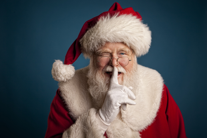 Article image for Santa’s sledge to Mark McGowan