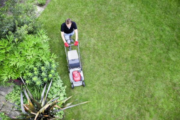 Article image for The lawn porn craze sweeping Perth