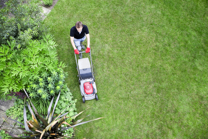 The lawn porn craze sweeping Perth