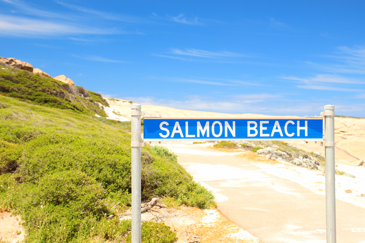 Article image for Desperate search for a man swept off rocks in Esperance continues