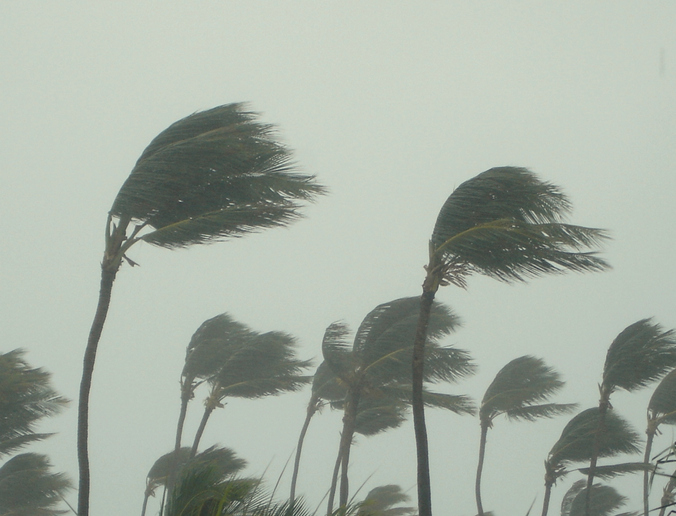 Article image for Pilbara brace for possible severe tropical cyclone