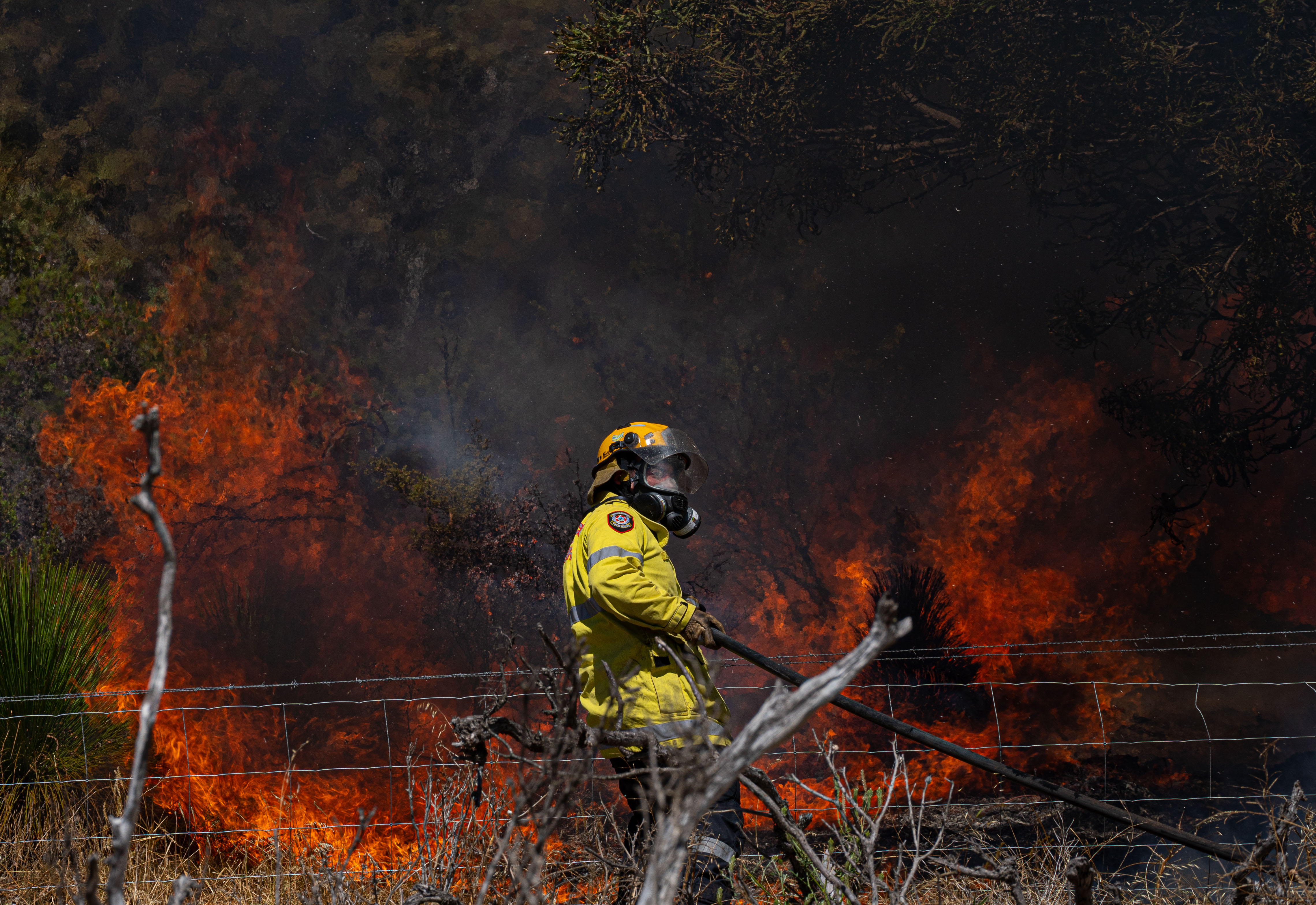 Article image for Firefighters brace for another hot day