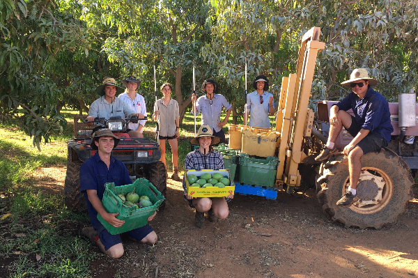 Article image for High School students roll up their sleeves to help WA farmer