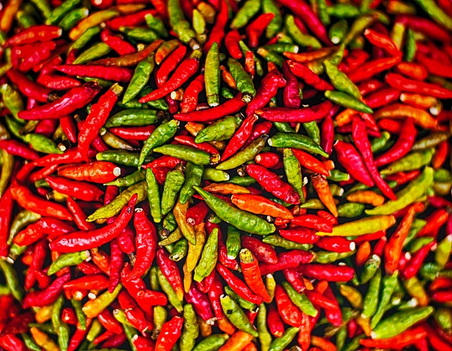 Are you ready for this year’s Chilli Fest?