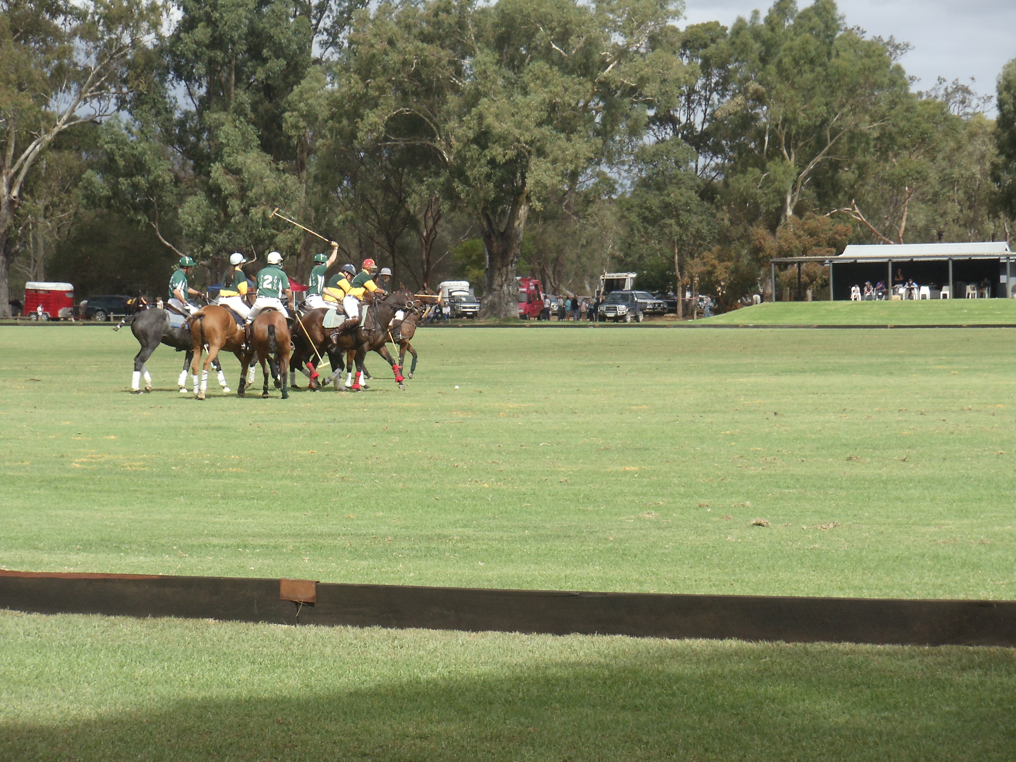 Suburban Focus – The History of the Perth Polo Club