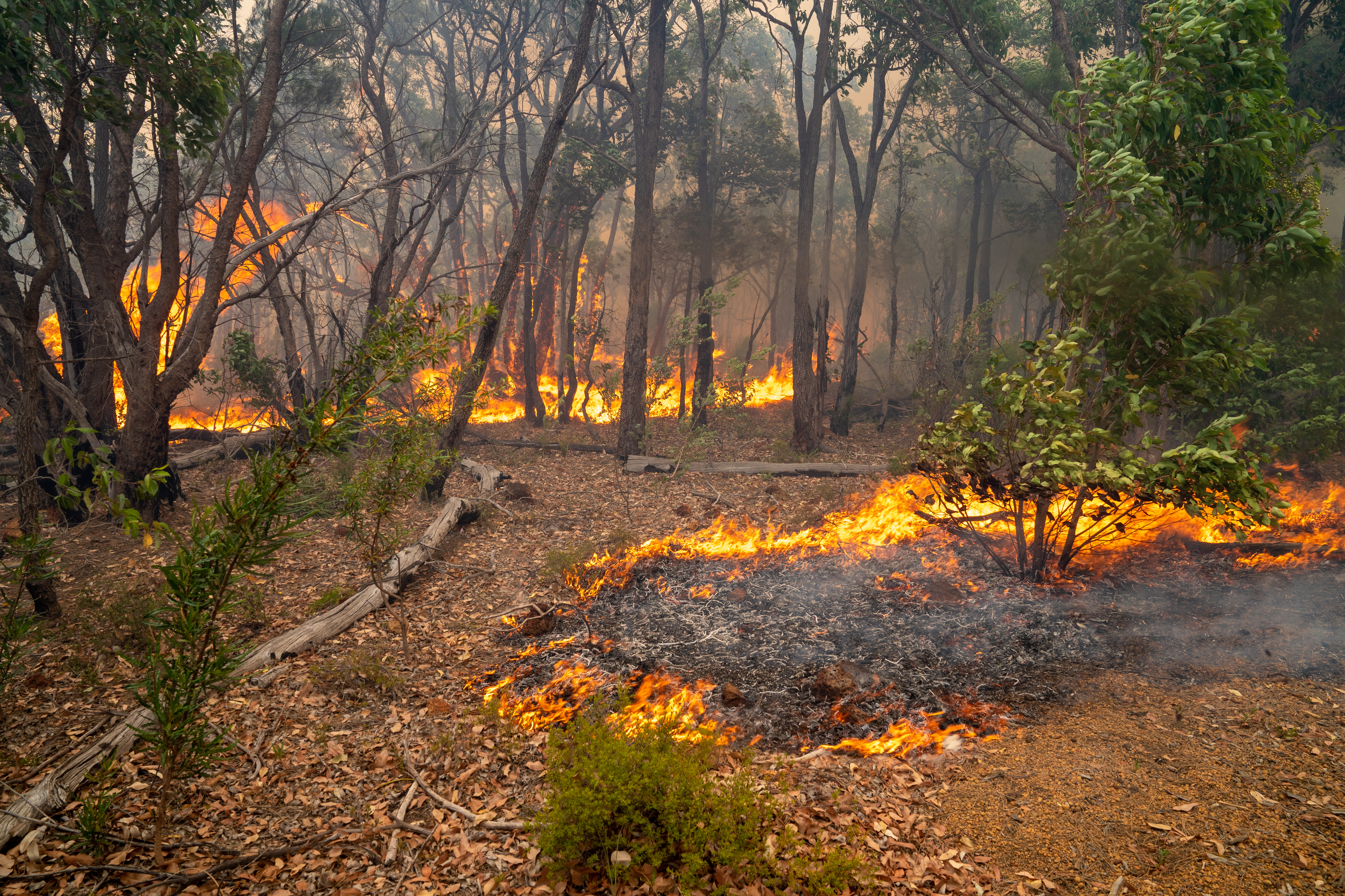 Article image for PERTH BUSHFIRES | Generous West Aussies warned of donation scams