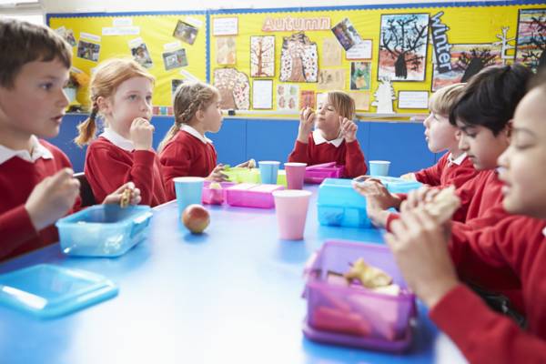 Article image for Healthy food ‘should be subsidised’ at schools