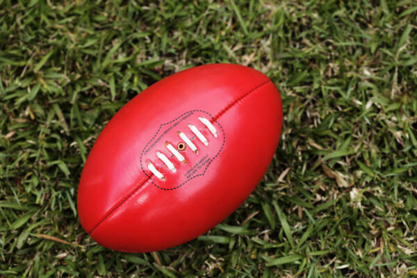 Article image for Concussion protocols to be introduced to community football