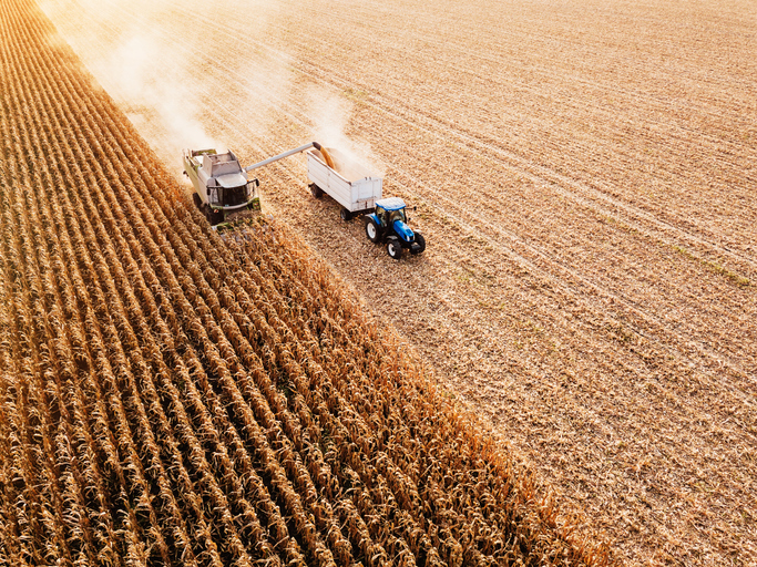 Article image for Overseas workers ‘only solution’ to deal with WA’s bumper harvest