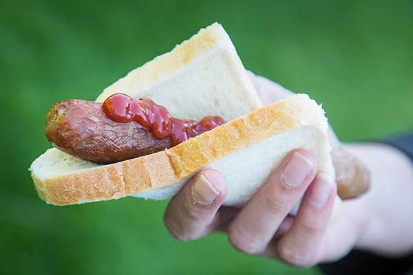 Article image for Why a ‘democracy sausage’ may be hard to find when voting this Saturday