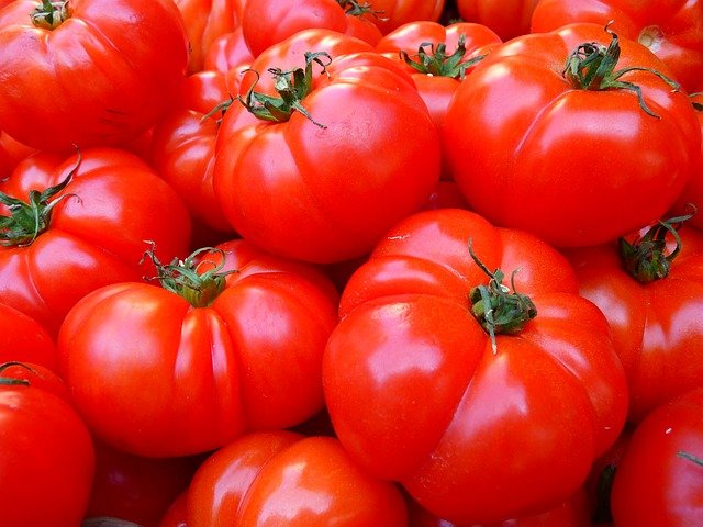 Weekend plans sorted for Perth’s tomato lovers