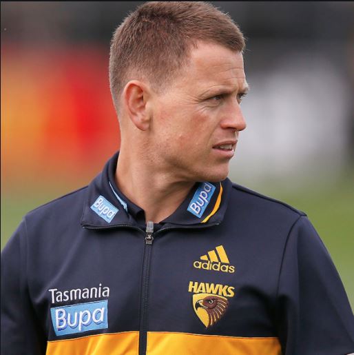 Article image for Brendon Bolton praises young Hawthorn side