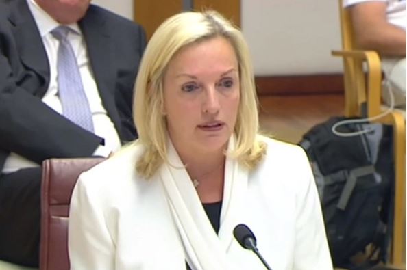 Article image for Australia Post Licensees Group backs Christine Holgate after senate hearing