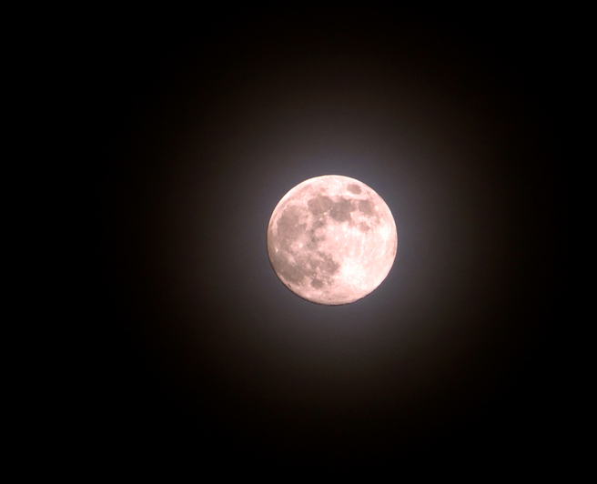 Article image for How to see the super ‘pink’ moon in WA tonight