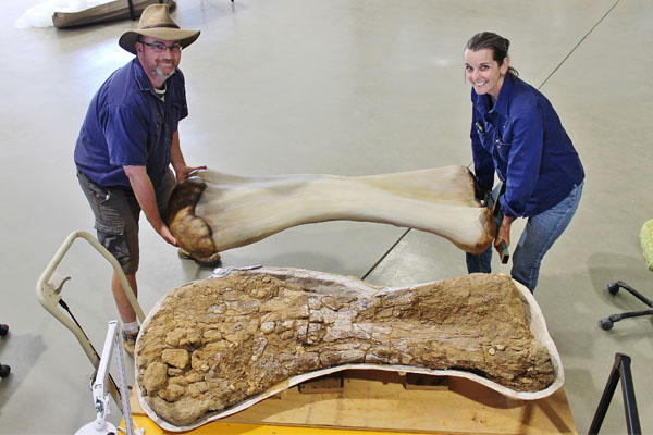 Article image for Colossal dinosaur unearthed in Australian outback