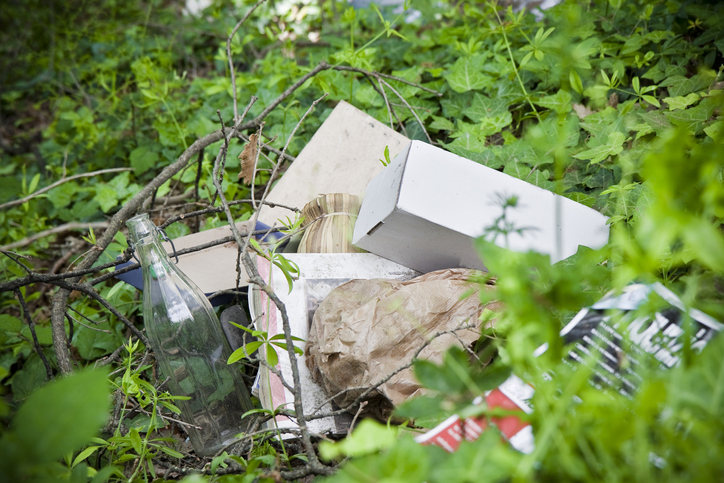 Article image for Calls to crackdown on illegal dumping as state loses $100 million a year