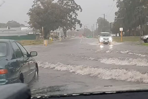 Article image for A Perth man’s unusual find in a storm puddle after wild weather