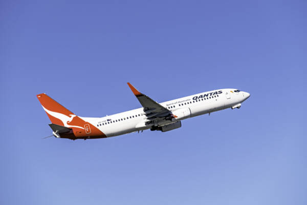 Article image for Qantas and Jetstar stand down 2500 workers